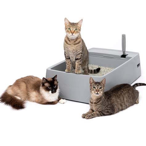 litter boxes for sale pakistan